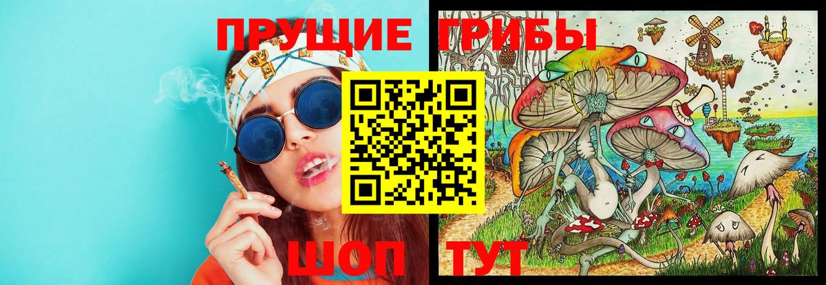 Темрюк  Галлюциногенные грибы MAGIC MUSHROOMS  Вход с VPN  Псилоцибиновые грибы Psilocybe 